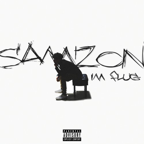 Im Flug - Samzon